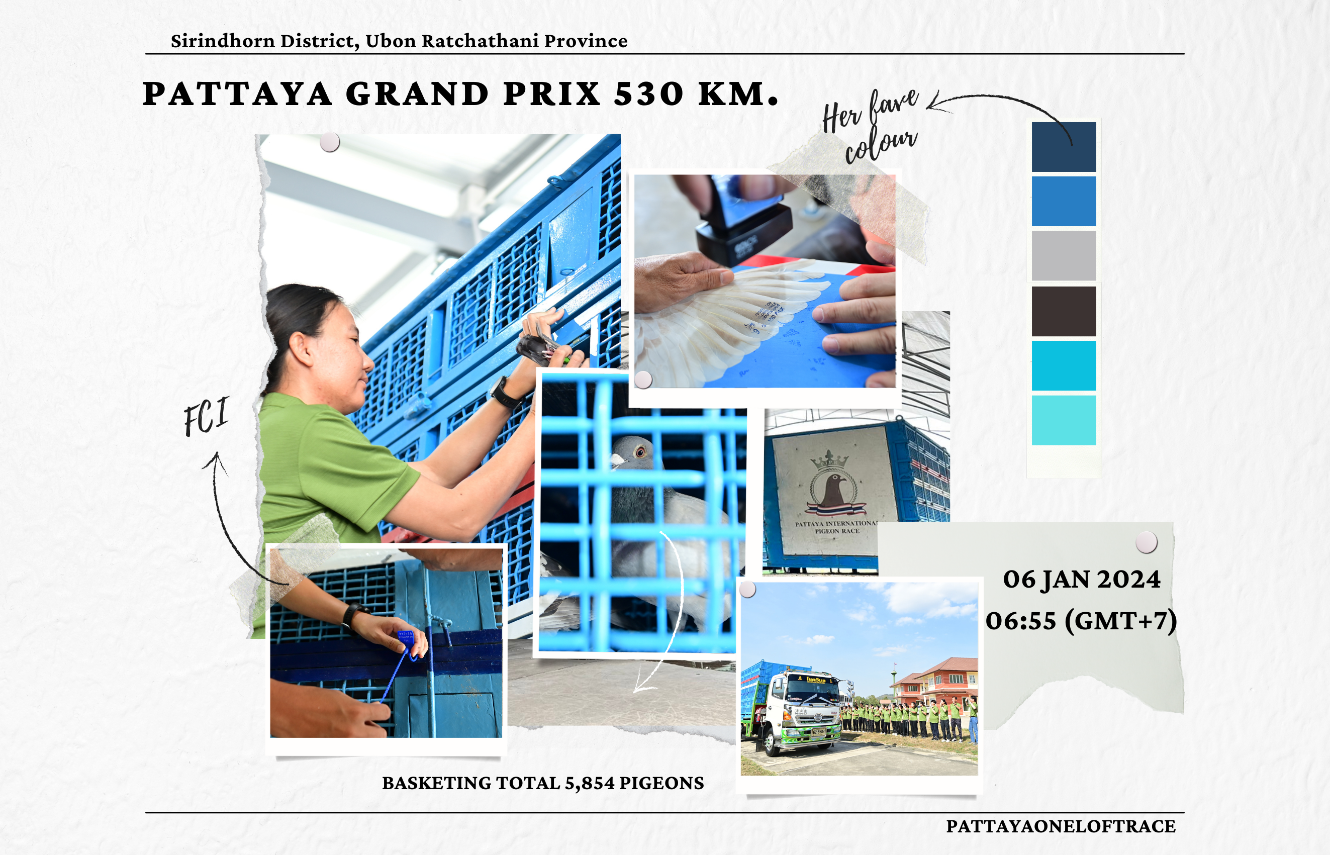 การแข่งขันนกพิราบแข่งนานาชาติ พัทยา ครั้งที่ 8 พัทยา กรังปรีซ์ 530 กม.